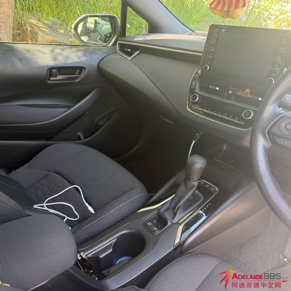 IMG_9877.jpeg