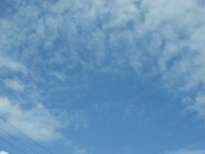 DSC02569.jpg