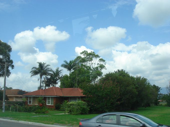 DSC02560.jpg