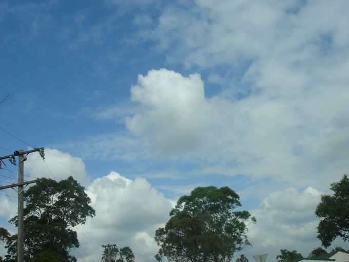 DSC02567.jpg