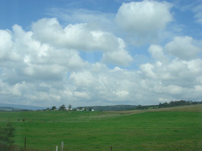 DSC02575.jpg