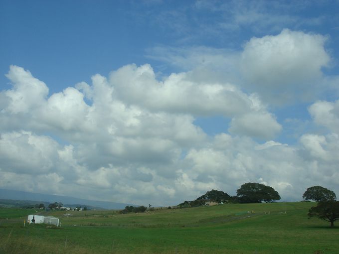 DSC02572.jpg