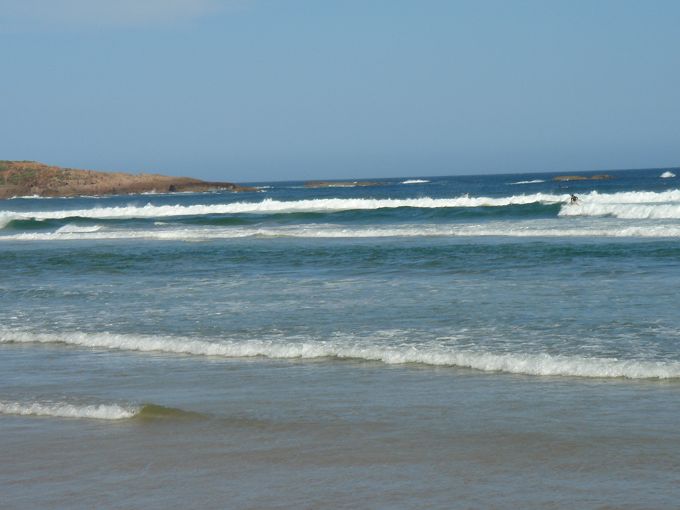DSC02638.jpg