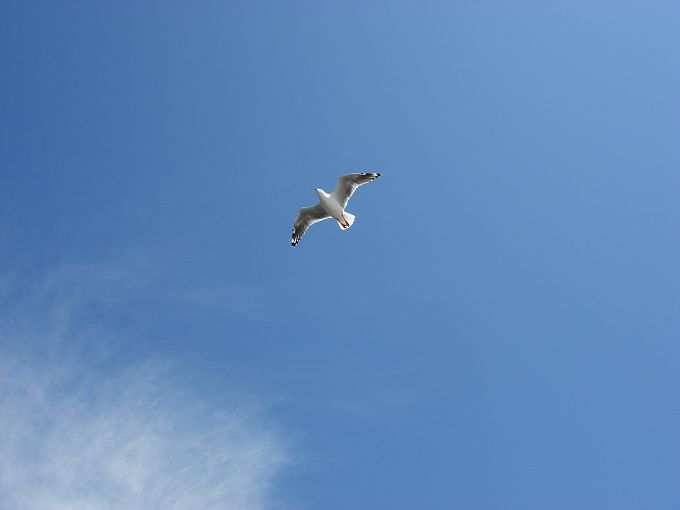 DSC02615.jpg