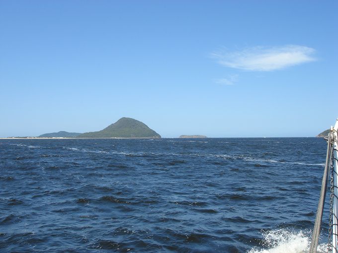 DSC02616.jpg