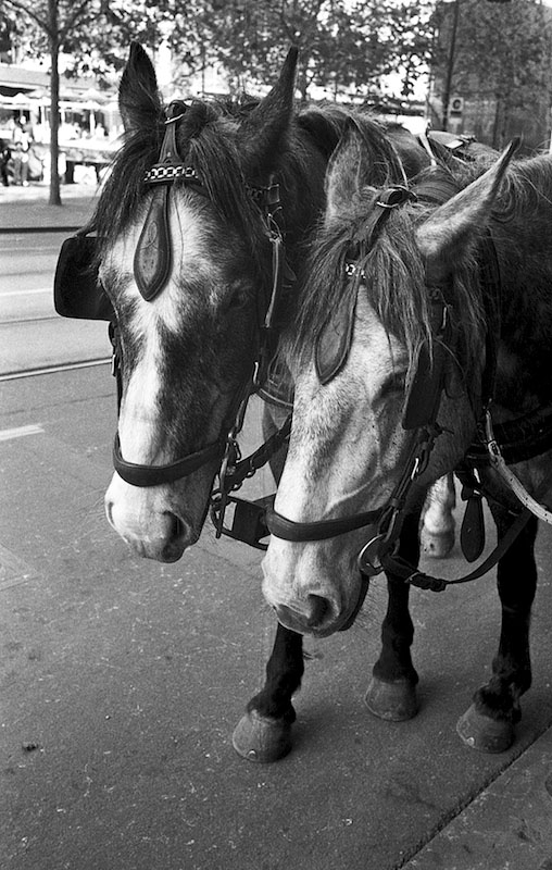 ILFORD-DELTA-400-034.jpg