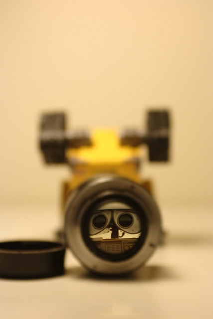 6.JPG