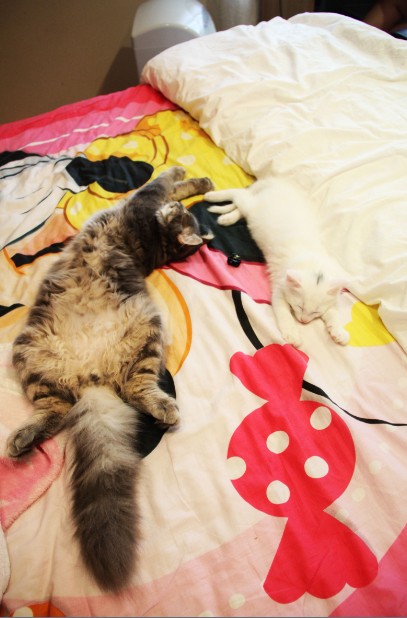 �¹��� 111.jpg