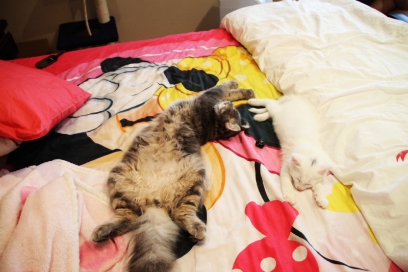 �¹��� 112.jpg