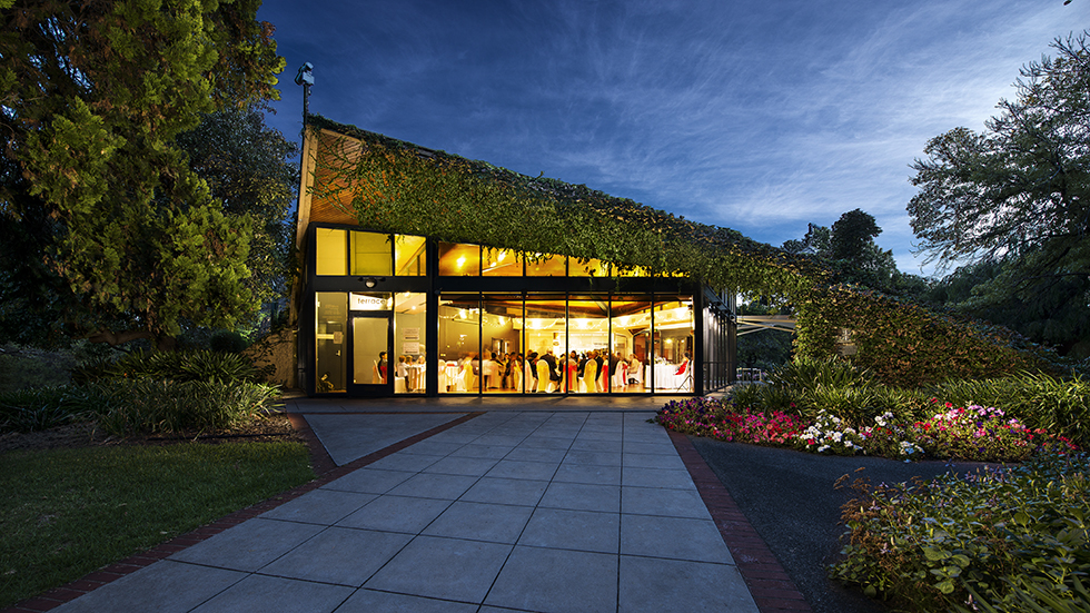 small size Discolor 16x9 Final Untitled1.jpg