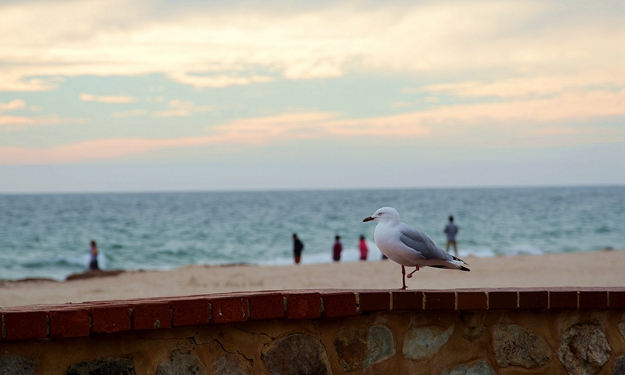 DSC_0195_����.jpg