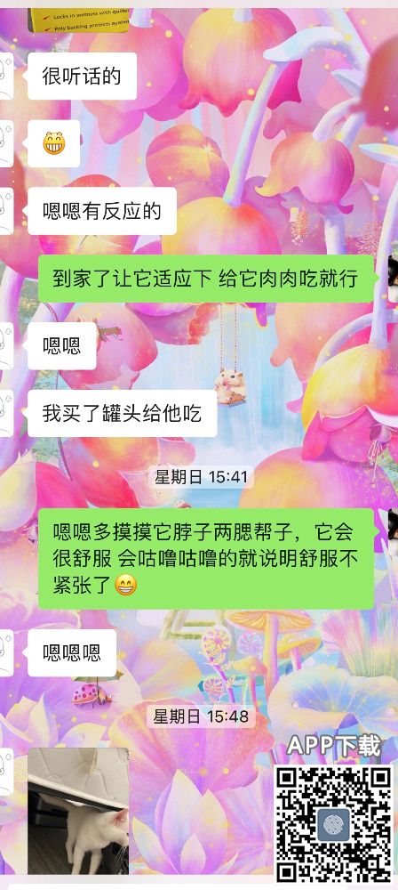 84707FF2-1E0C-43B1-8E00-8E1D5C5CE62A.jpeg