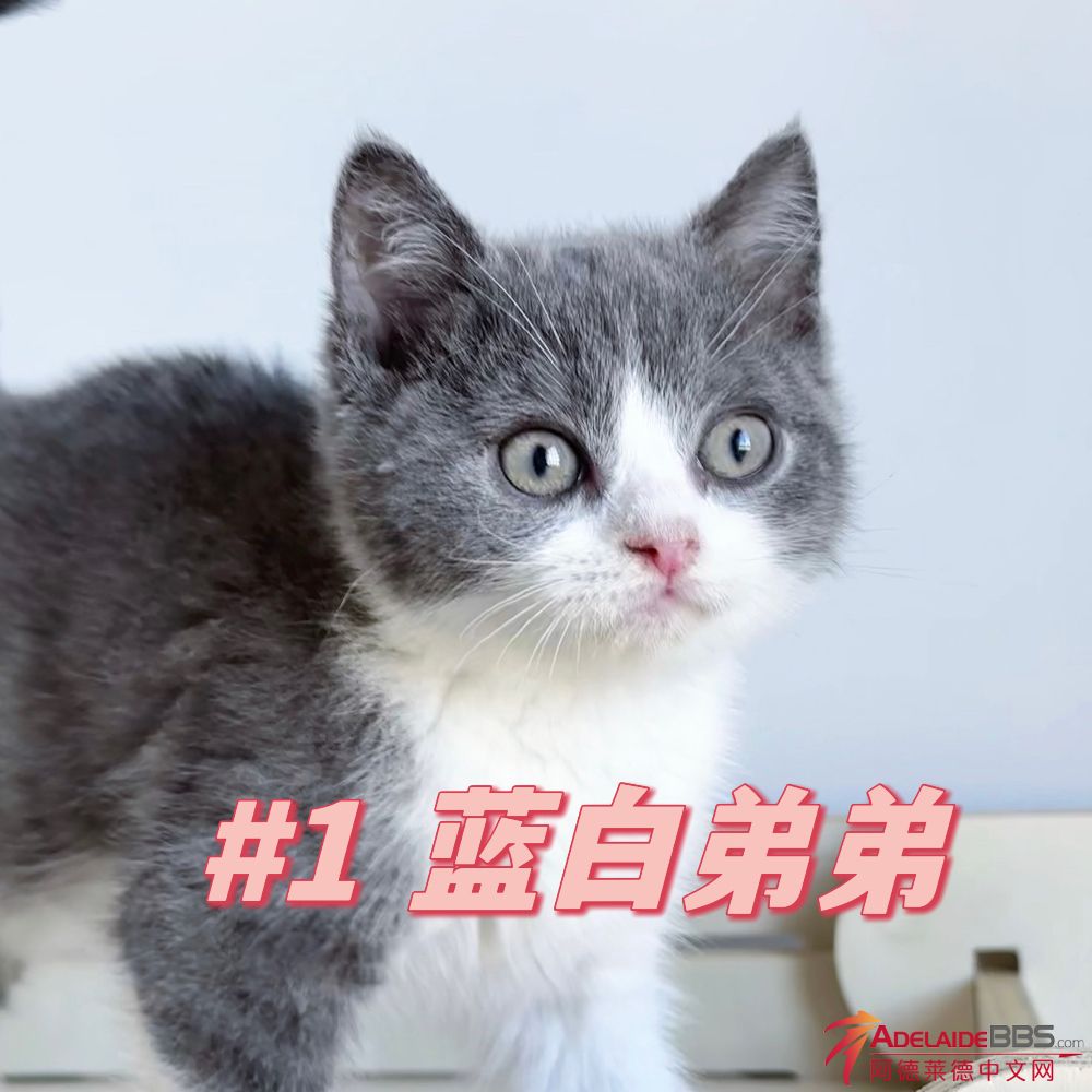 8635DE8D-66EE-473F-B759-8183BF1B39AC.jpeg