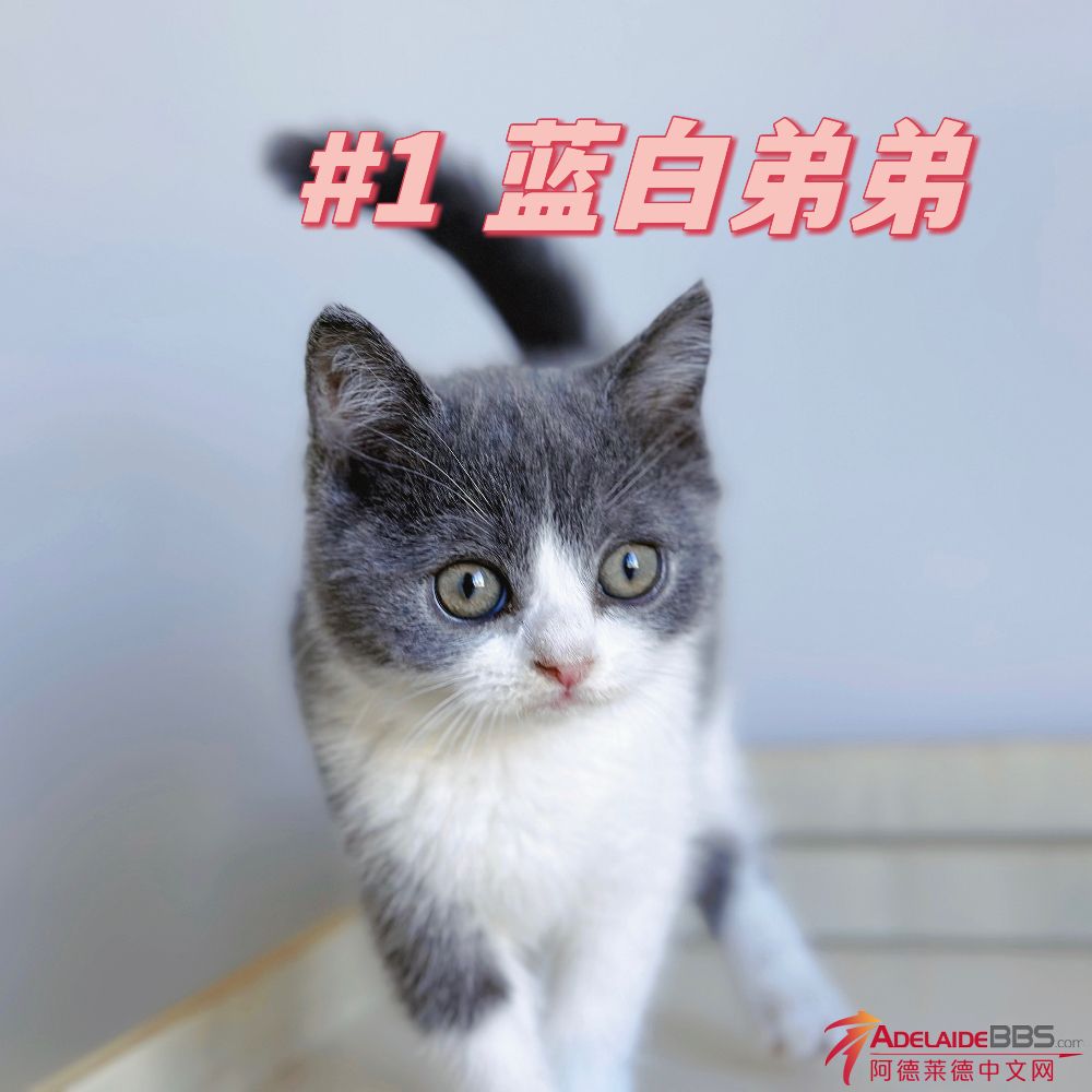 E24334FB-6CC3-4028-8C80-44487AE5B4F4.jpeg